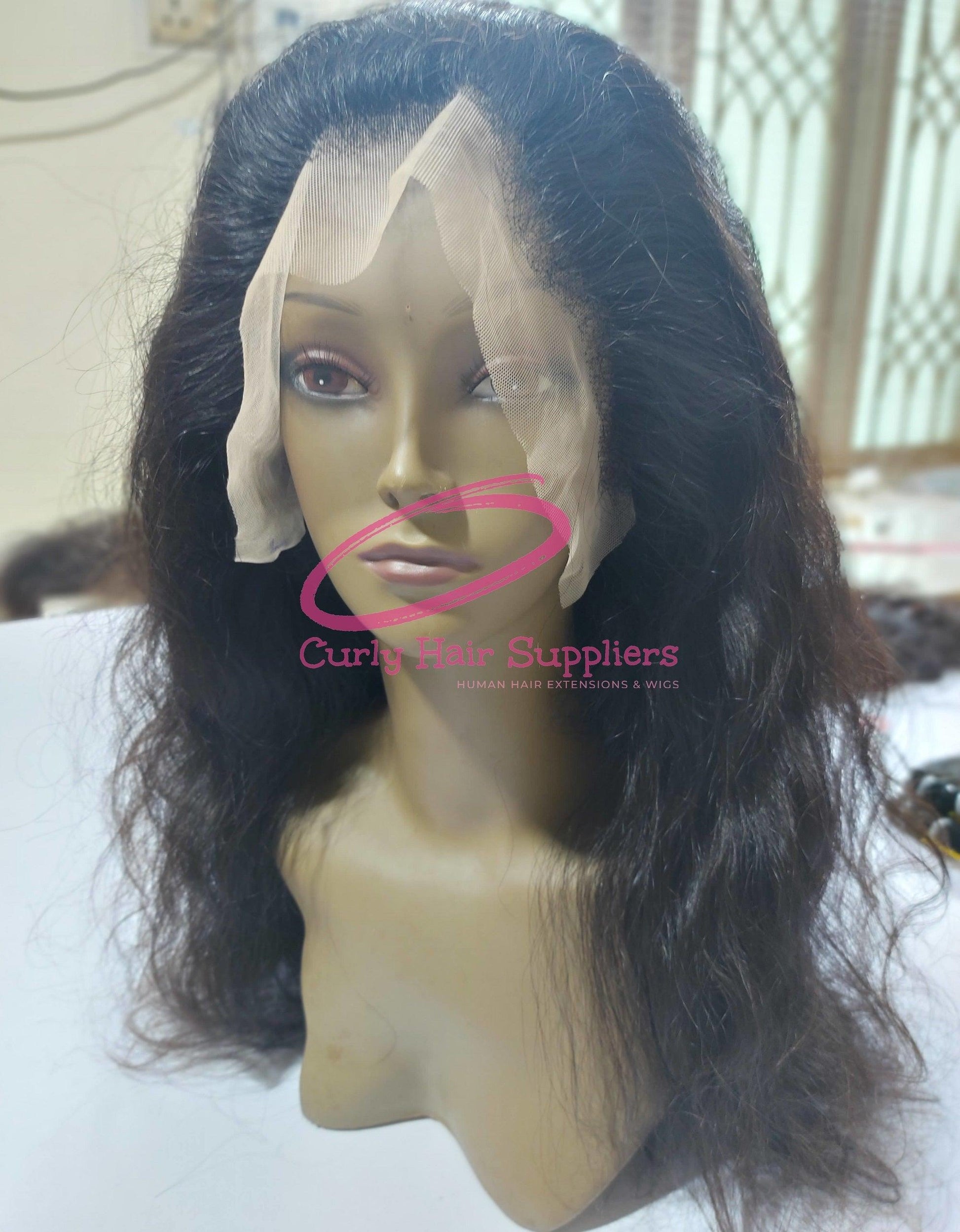 Pre Plucked Natural Wave Lace Front Human Hair Wig Curly Hair Suppliers