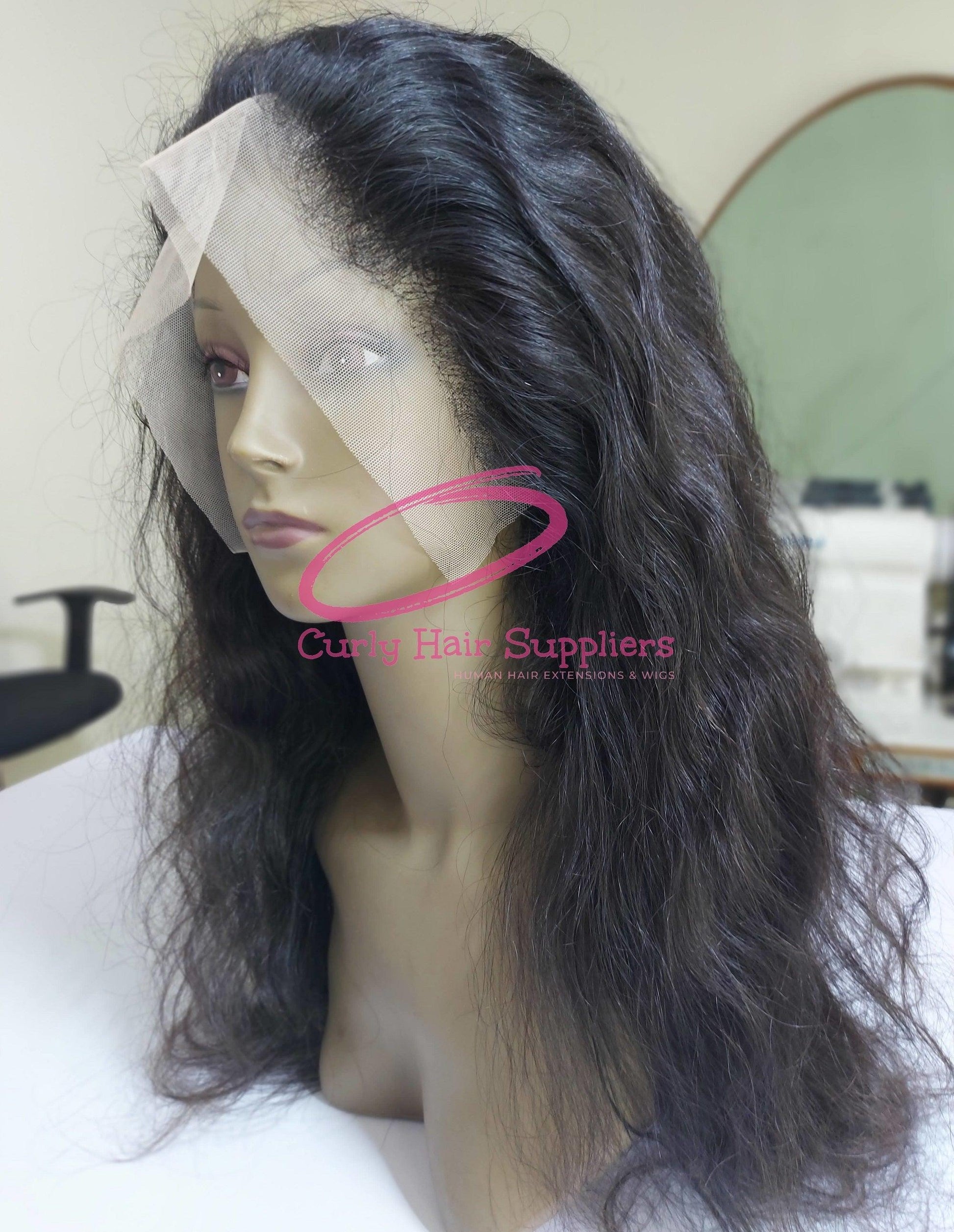 Pre Plucked Natural Wave Lace Front Human Hair Wig Curly Hair Suppliers